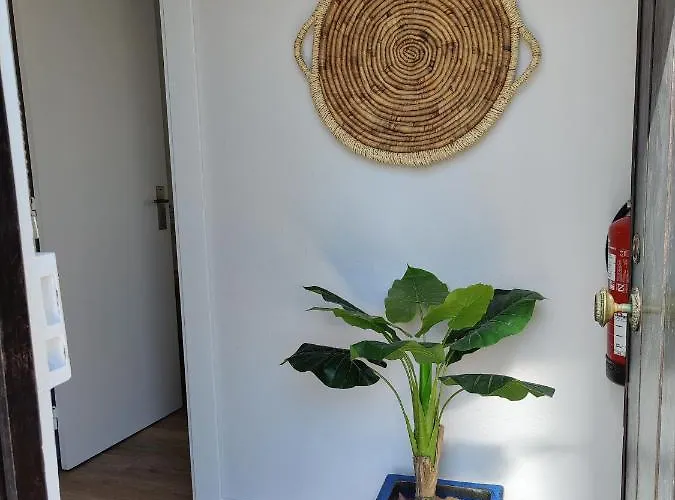 Ocean - I * Santa Cruz (Oeste)